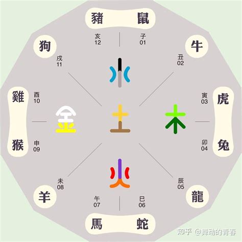 子五行|子字的五行属什么